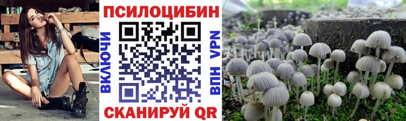 Псилоцибиновые грибы Psilocybine cubensis  Волхов 